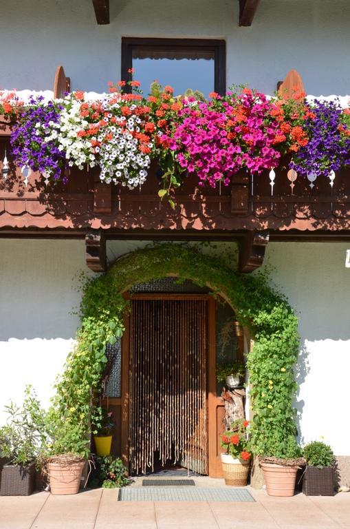 Hinterankerwald Apartment Walchsee Bagian luar foto
