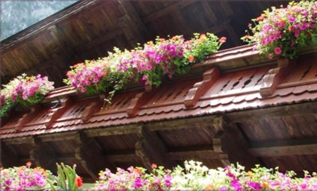 Hinterankerwald Apartment Walchsee Bagian luar foto