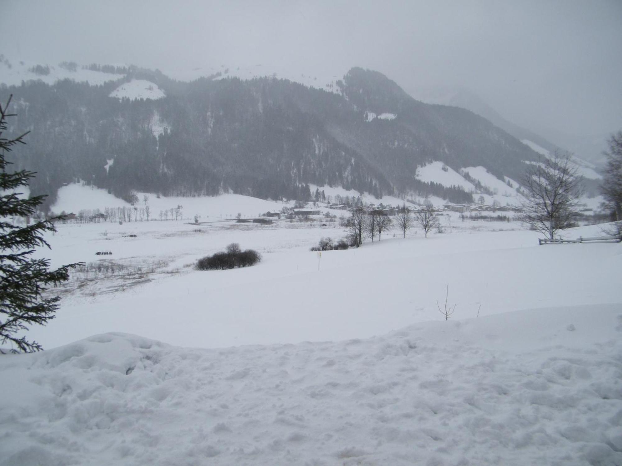 Hinterankerwald Apartment Walchsee Bagian luar foto