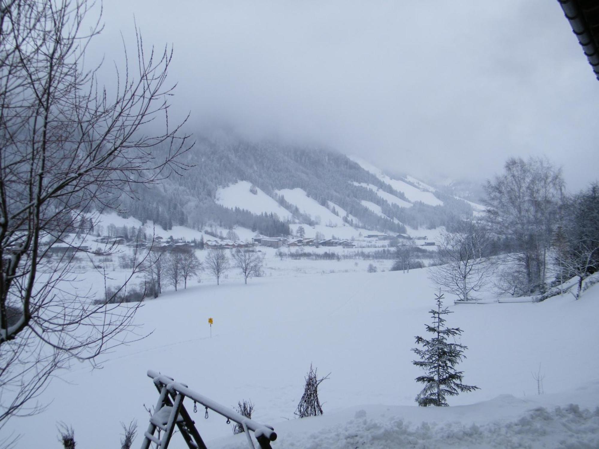 Hinterankerwald Apartment Walchsee Bagian luar foto