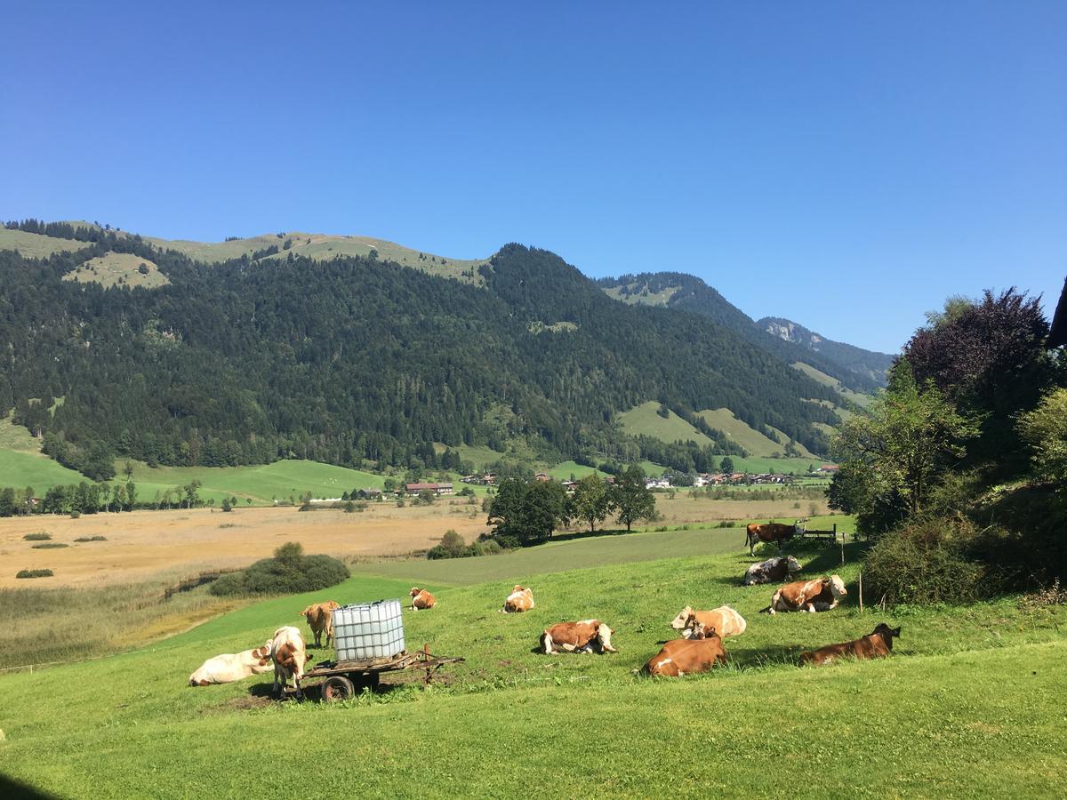 Hinterankerwald Apartment Walchsee Bagian luar foto